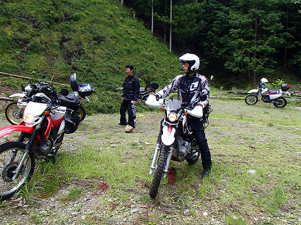 唯一、この倒木を越えたボルドーさん